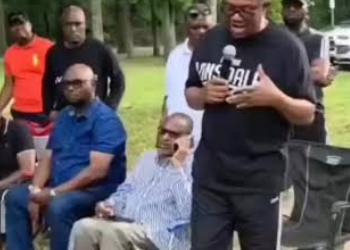 Peter Obi in Washington: I’ll listen to all agitators, make sacrifices for Nigeria’s unity
