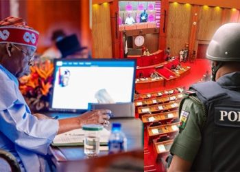 How Senate crafted measures against Governors’ abuse of State Police 