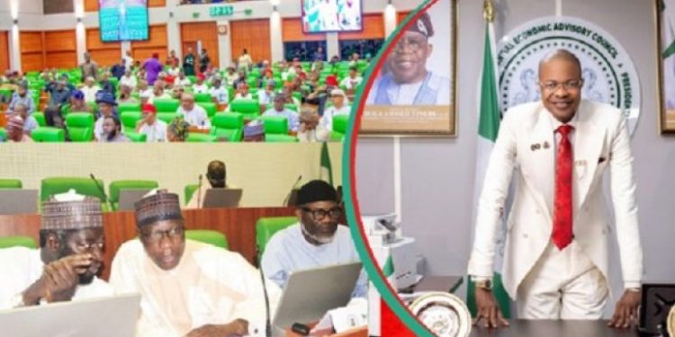 Fake Presidential Council: Investigating panel uncovers 29 allegedly forged documents