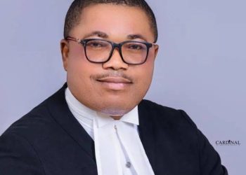 Ejiofor fires back at Nnamdi Kanu after his sack