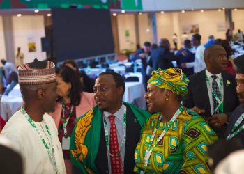 Global Telecom Elections: Nigeria calls for stronger African collaboration