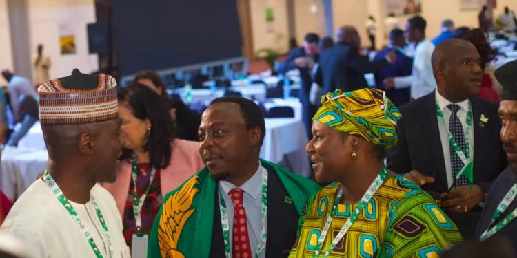 Global Telecom Elections: Nigeria calls for stronger African collaboration