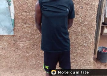 Troops rescue abducted soldier, civilian in fresh Zamfara offensive