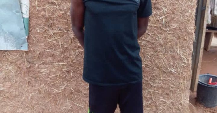 Troops rescue abducted soldier, civilian in fresh Zamfara offensive
