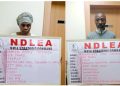 NDLEA arrests Nigerian-British grandma with 13kg Cocaine concealed in plantain peels