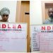 NDLEA arrests Nigerian-British grandma with 13kg Cocaine concealed in plantain peels