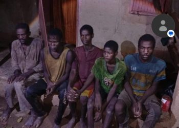 Troops rescue 13 kidnap victims, foil terrorist operations in Zamfara