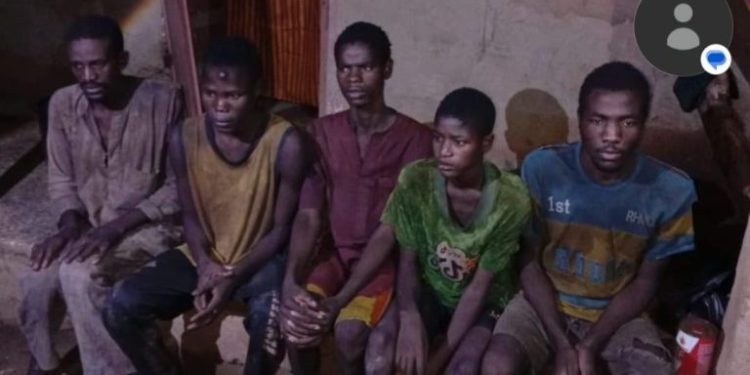 Troops rescue 13 kidnap victims, foil terrorist operations in Zamfara
