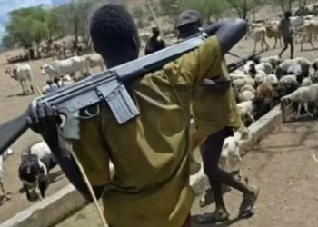 Suspected herdsmen kill many in fresh attack on Benue communities