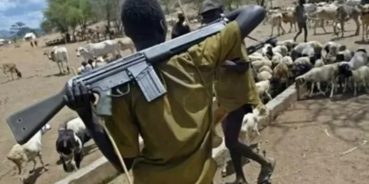 Suspected herdsmen kill many in fresh attack on Benue communities