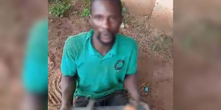 TCN applauds vigilante for arrest of suspected vandal along Benin-Onotsha transmission line 