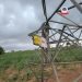 TCN declares force majored on 132KV Birnin Kebbi – Niamey transmission line due to tower collapse