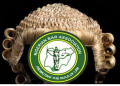 NSITF urges NBA to expand labour laws for gig, informal workers in Nigeria