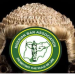 NSITF urges NBA to expand labour laws for gig, informal workers in Nigeria