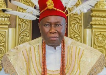 Beyond the Crown: The vision shaping Asaba’s future