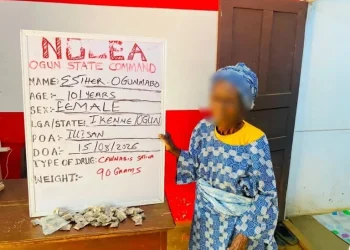 101-year-old great-grandma arrested for illicit drug peddling