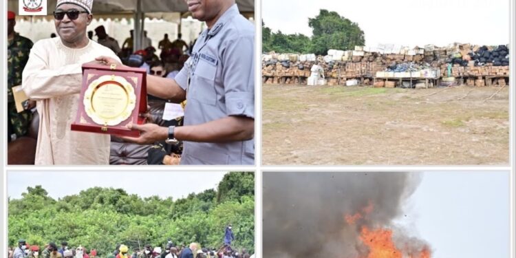 Drug War: NDLEA destroys 330 tonnes of illicit substances worth N301bn