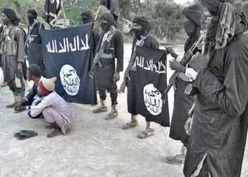 Terrorists using dead persons’ accounts, crowdfunding – NFIU