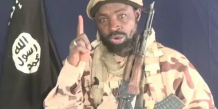 Apprehension as Shekau’s son emerges Boko Haram leader