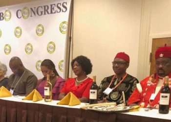 World Igbo Congress warns against threatening Igbos over Peter Obi