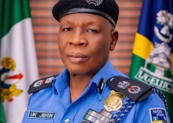 Police arrested 240 suspected rapists, kidnappers, others in Yobe