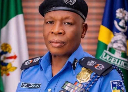 Police arrested 240 suspected rapists, kidnappers, others in Yobe
