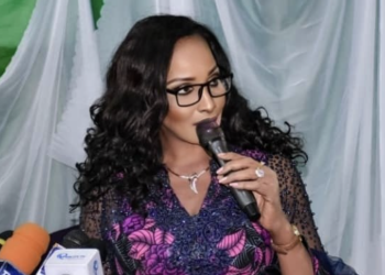 2027: Foreign Missions must avoid unguarded comments, unsolicited lectures on Nigerian politics — Ojukwu