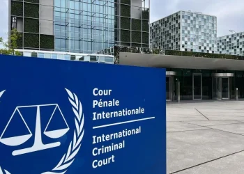 ICC rules in Nigeria’s favour, rejects Sunrise Power’s $2.35bn Mambilla claim