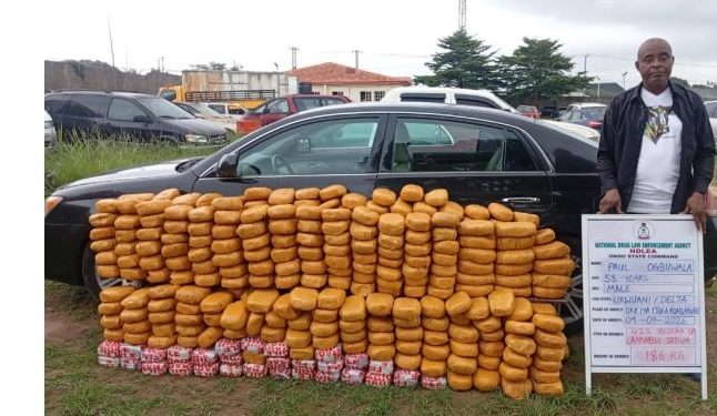 NDLEA intercepts colos shipments from UK, uncovers opioids in loaves of bread, speakers