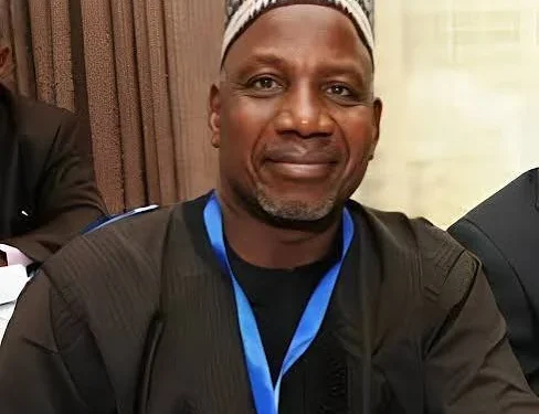 How judicial interventions fuel Nigeria’s voter apathy crisis – Prof. Yadudu