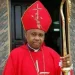 Anglican Church suspends Archbishop Ibezim 