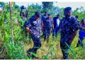 IGP deploys DIG operations to rescue 20 NYSC members, others in Imo state