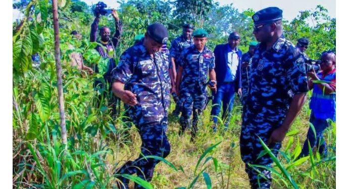 IGP deploys DIG operations to rescue 20 NYSC members, others in Imo state