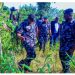 IGP deploys DIG operations to rescue 20 NYSC members, others in Imo state