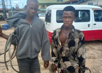 Transformer vandals arrested in Anambra State 