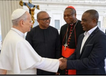 Keep Catholic Church, Pope out of Nigerian politics – Obi