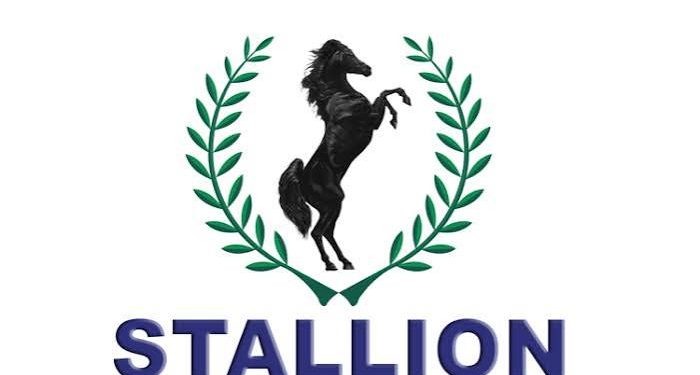 Stallion Group Appeals ₦156bn UBA debt judgment, seeks stay of execution